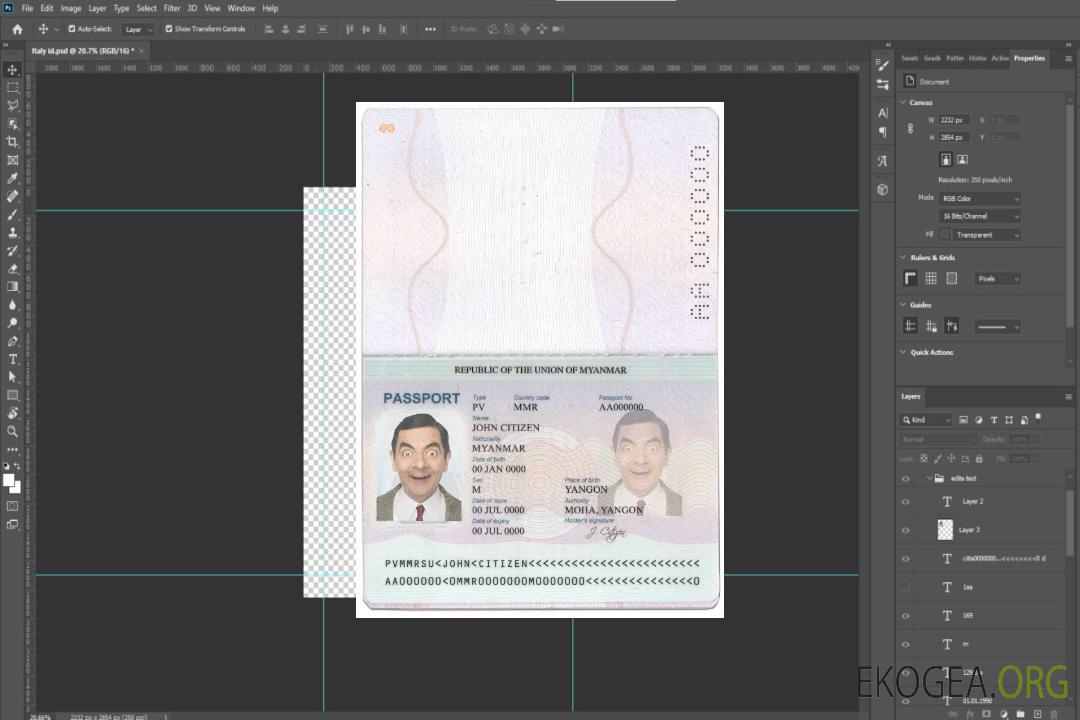 Passeport birman template Passeport birman template